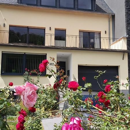 Ferienwohnung "Zum Klosterruinenblick" Krov Luaran gambar