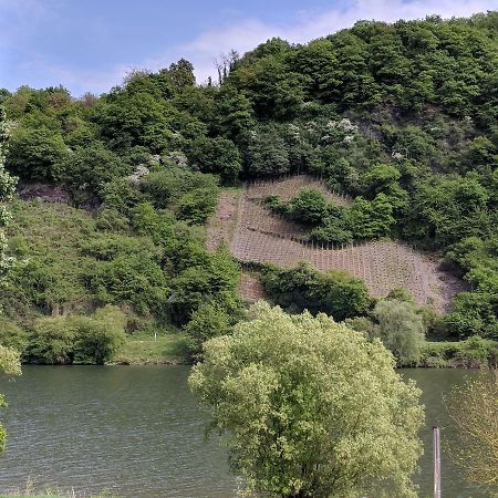 Ferienwohnung "Zum Klosterruinenblick" Krov Luaran gambar