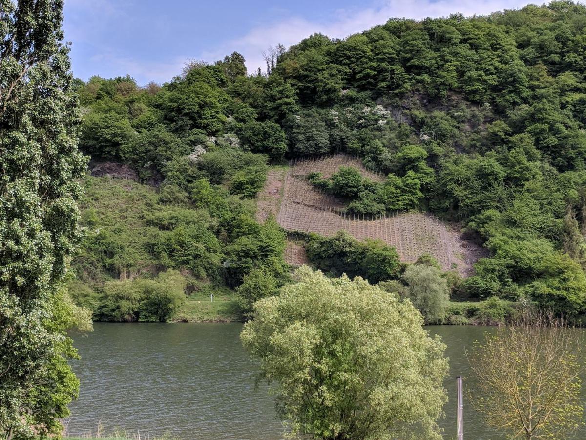 Ferienwohnung "Zum Klosterruinenblick" Krov Luaran gambar