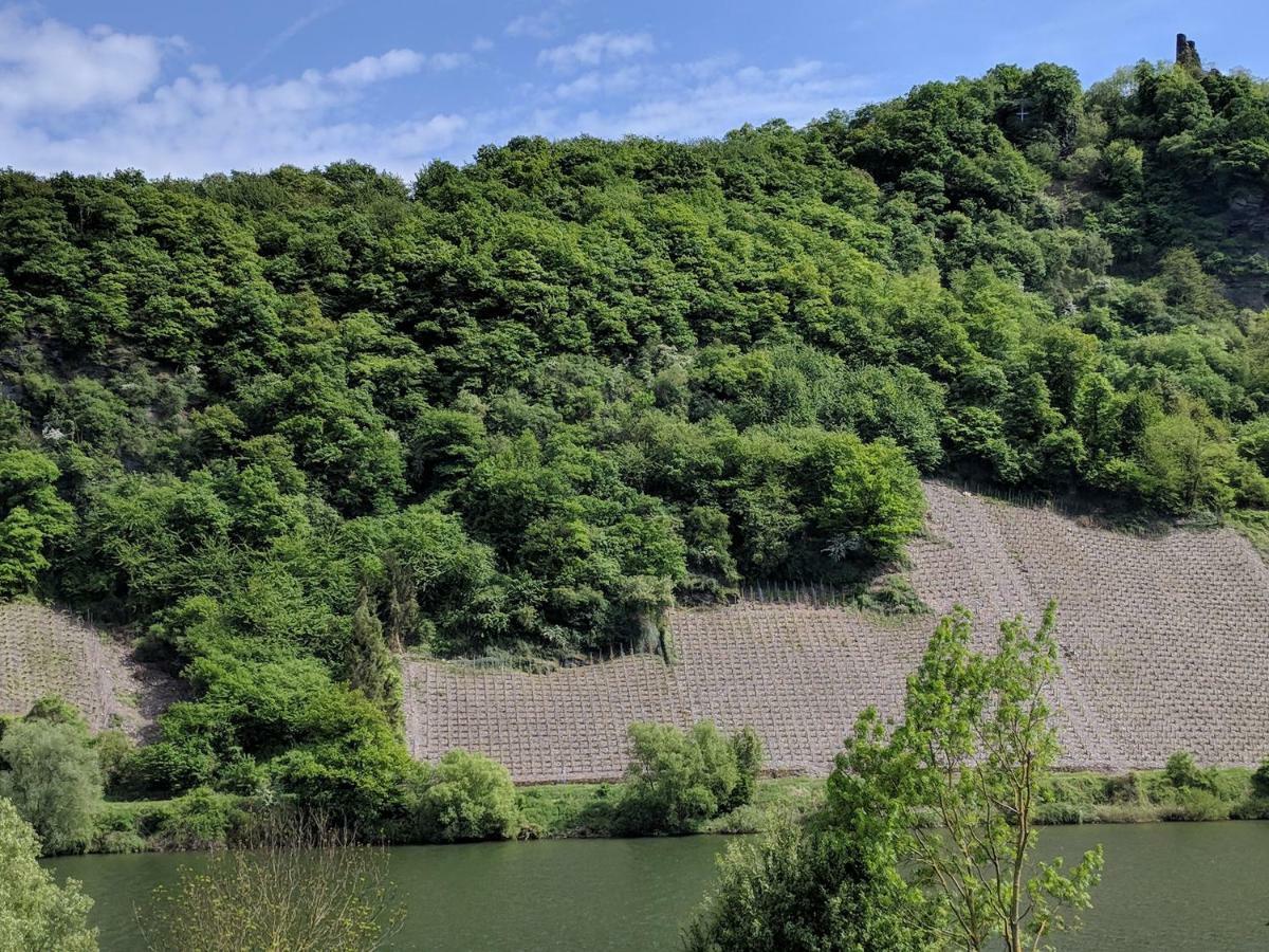 Ferienwohnung "Zum Klosterruinenblick" Krov Luaran gambar